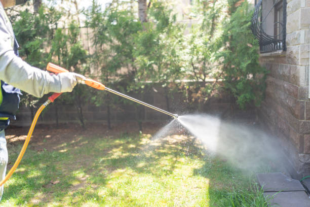 Best Pest Prevention Services  in Camn, DE